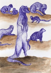 2021 mongoose pen and gauche sketch 
